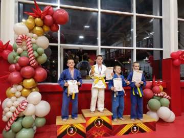 14 декабря в Спортивно-образовательном комплексе &laquo;ОЛИМПИК&raquo; (г. Липецк) прошел Новогодний турнир по дзюдо среди мальчиков 2014-2015 г. р