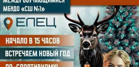 СПОРТИВНАЯ АФИША. Новогодний турнир по волейболу состоится в Ельце