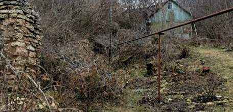 По улице Ленинградской в Ельце отпилили и спилили дуб и грушу