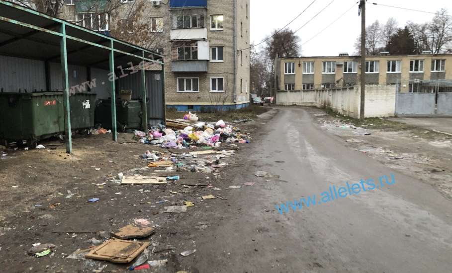 Кто найдёт управу на нарушителей экологического законодательства в Ельце?