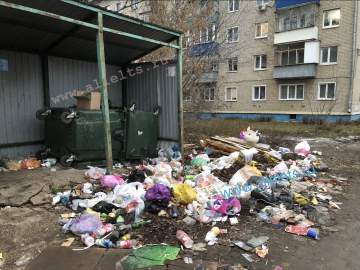 Кто найдёт управу на нарушителей экологического законодательства в Ельце?