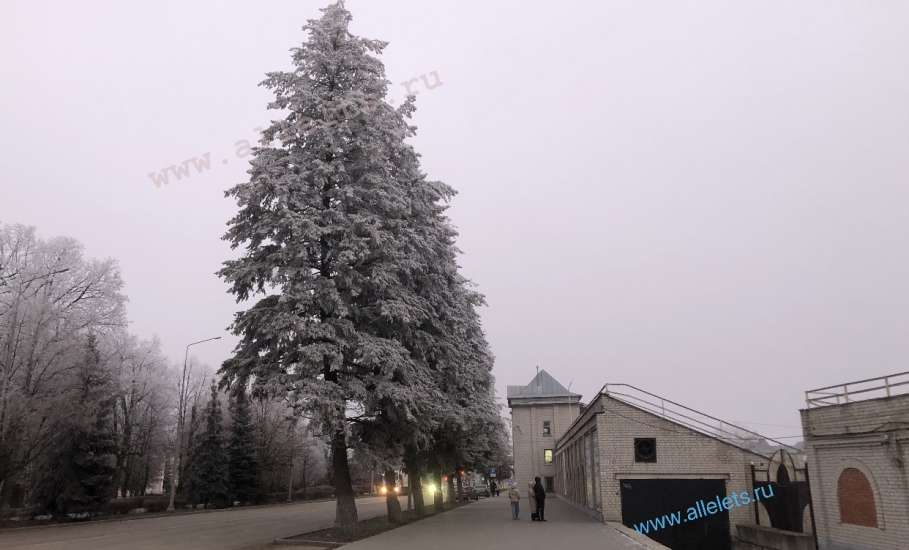 Сегодня День зимнего солнцестояния