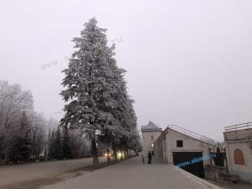 Сегодня День зимнего солнцестояния