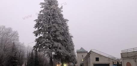 Сегодня День зимнего солнцестояния