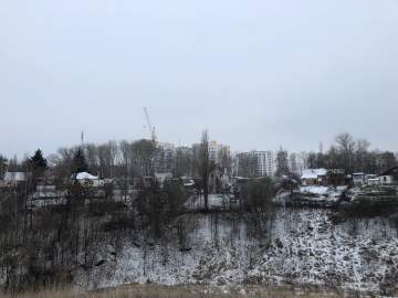 Сосны, посаженные неравнодушными жителями Ельца в парке 40-летия Октября - выросли до 5 метров!