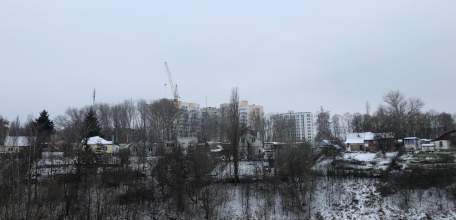 Сосны, посаженные неравнодушными жителями Ельца в парке 40-летия Октября - выросли до 5 метров!