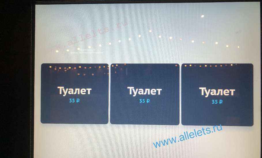 В самом центре города Ельца заработали долгожданные туалеты! Но есть нюанс!