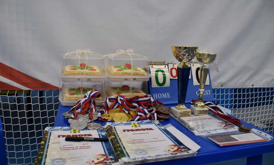 Прошел футбольный турнир &laquo;Кубок Деда Мороза&raquo;, собравший лучшие команды СШ Елецкого округа, клубы &laquo;Витязь&raquo; и &laquo;Воргол&raquo;