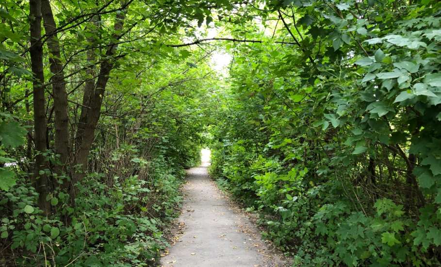 У ельчанки нашли в рюкзаке пакетик конопли. Итог: штраф 20000 рублей