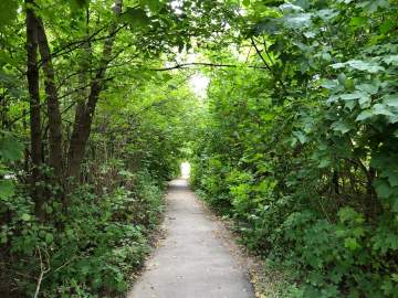 У ельчанки нашли в рюкзаке пакетик конопли. Итог: штраф 20000 рублей