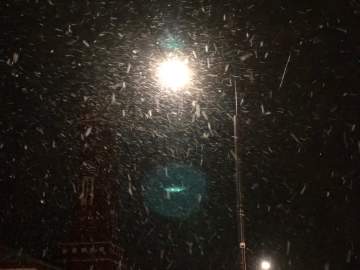 3 БПЛА уничтожено этой ночью в Липецкой области - Минобороны