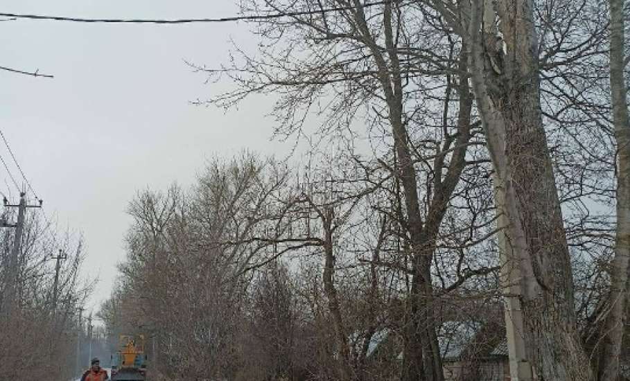 Будни благоустройства в Ельце