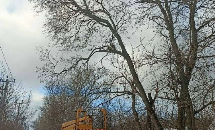 Будни благоустройства в Ельце