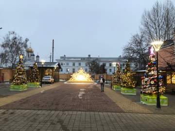 Житель Ельца по пьяни украл велосипед в самом центре города. Нашли и осудили