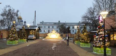 Житель Ельца по пьяни украл велосипед в самом центре города. Нашли и осудили