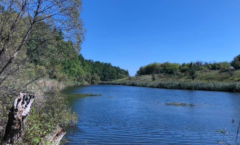 В Елецком районе на пруду задержали человека за татуировку &laquo;звезда воров&raquo;!