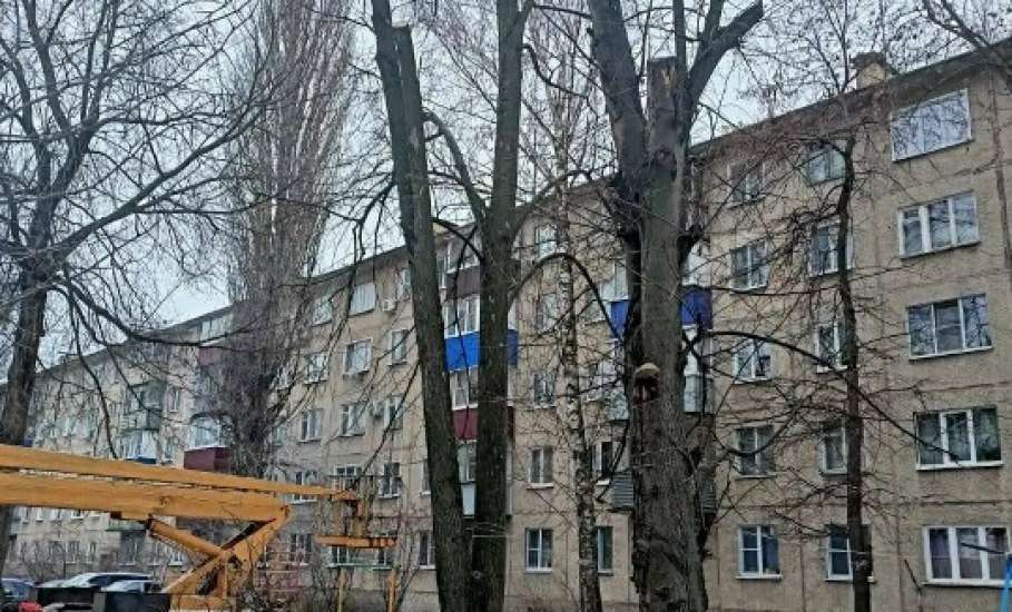 В городе Ельце работы по благоустройству выполняются ежедневно