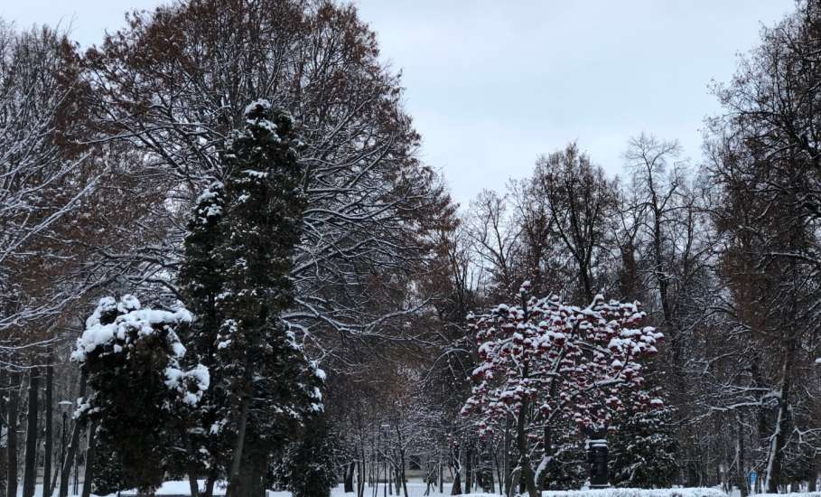 Фотогалерея зимнего города Ельца. Со снегом!
