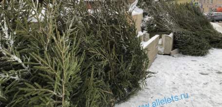 На мясном рынке цены лупят за ёлку с отломанной макушкой - 6000 рублей!