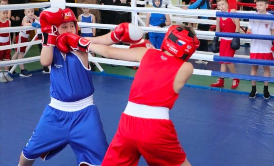 Воспитанники отделений борьбы &laquo;Спортивной школы&raquo; Елецкого округа приняли участие в Новогоднем фестивале единоборств, который состоялся в МАУ "Школа Елецкой борьбы"