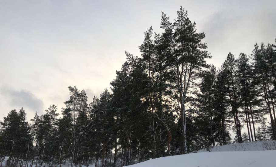 ВНИМАНИЕ ВСЕМ! Объявлена &laquo;РАКЕТНАЯ ОПАСНОСТЬ!&raquo; для Липецкой области!