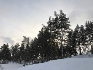 ВНИМАНИЕ ВСЕМ! Объявлена &laquo;РАКЕТНАЯ ОПАСНОСТЬ!&raquo; для Липецкой области!
