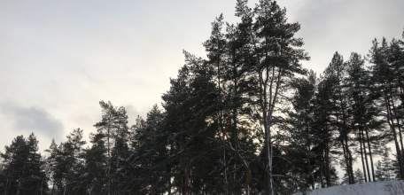 ВНИМАНИЕ ВСЕМ! Объявлена &laquo;РАКЕТНАЯ ОПАСНОСТЬ!&raquo; для Липецкой области!