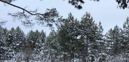 Отбой "Ракетная опасность" для Липецкой области