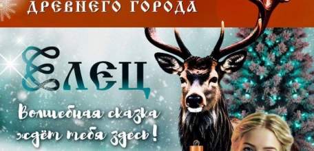 Напоминалочка. Афиша по всем новогодним мероприятиям в городе Ельце!