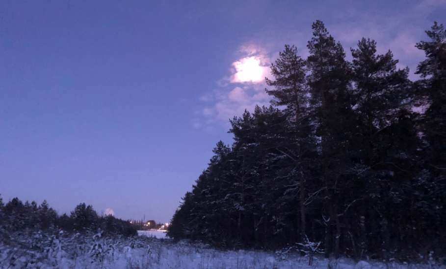 Сегодня был прекрасный первый день нового 2026 года! Фотогалерея