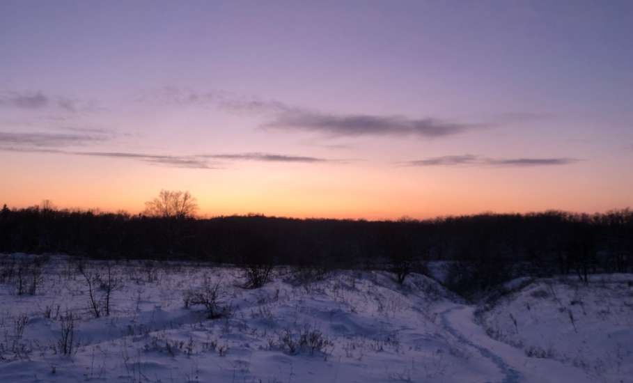 Сегодня был прекрасный первый день нового 2026 года! Фотогалерея