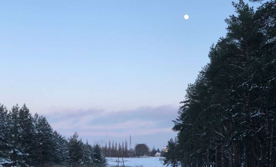 Сегодня был прекрасный первый день нового 2026 года! Фотогалерея