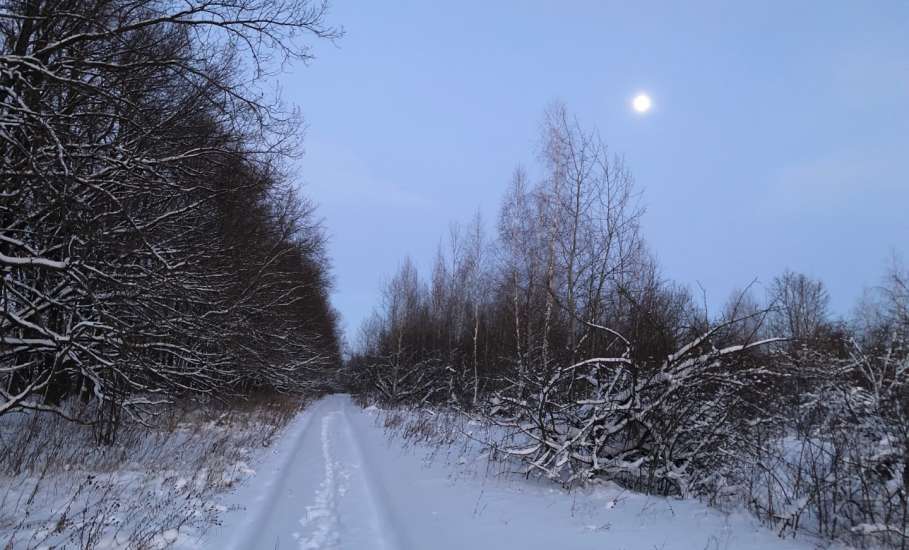 Сегодня был прекрасный первый день нового 2026 года! Фотогалерея