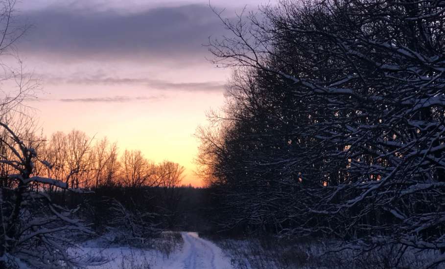 Сегодня был прекрасный первый день нового 2026 года! Фотогалерея