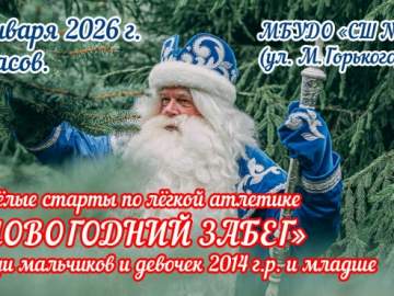 НОВОГОДНЯЯ СПОРТИВНАЯ АФИША