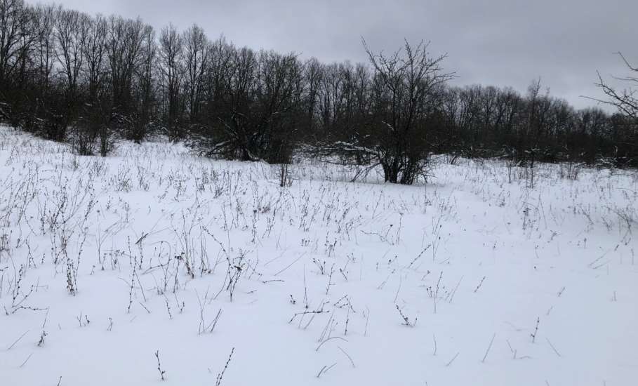 Самый холодный первый день года на Земле зафиксирован в Якутии! -53.1 градуса!