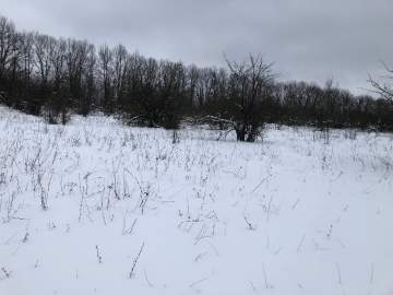 Самый холодный первый день года на Земле зафиксирован в Якутии! -53.1 градуса!