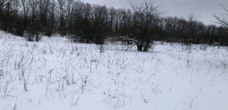 Самый холодный первый день года на Земле зафиксирован в Якутии! -53.1 градуса!