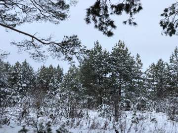 4  БПЛА сбиты с 7 до 9 утра над территорией Липецкой области - Минобороны!