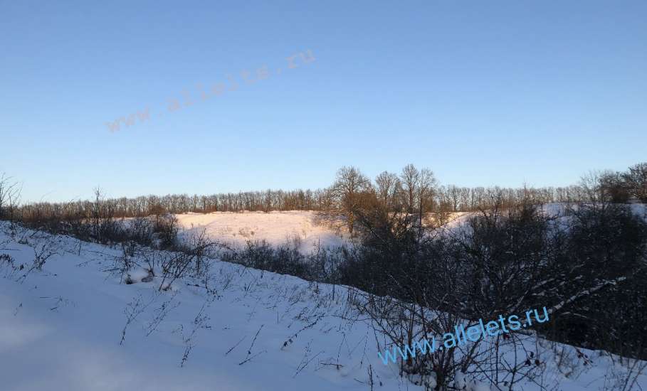 Фото уходящего дня в Ельце