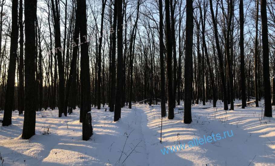 Фото уходящего дня в Ельце