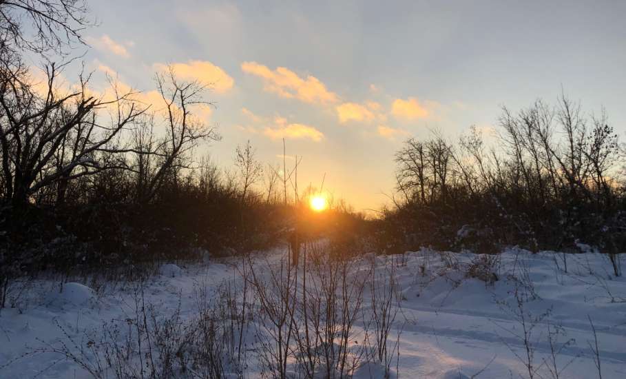 Игорь Артамонов: &laquo;В Елецком округе обломками БПЛА повреждены крыши нескольких частных домов!&laquo;