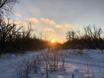 Игорь Артамонов: &laquo;В Елецком округе обломками БПЛА повреждены крыши нескольких частных домов!&laquo;