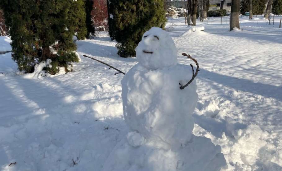 Зима 2026 вдохновляет на творчество!