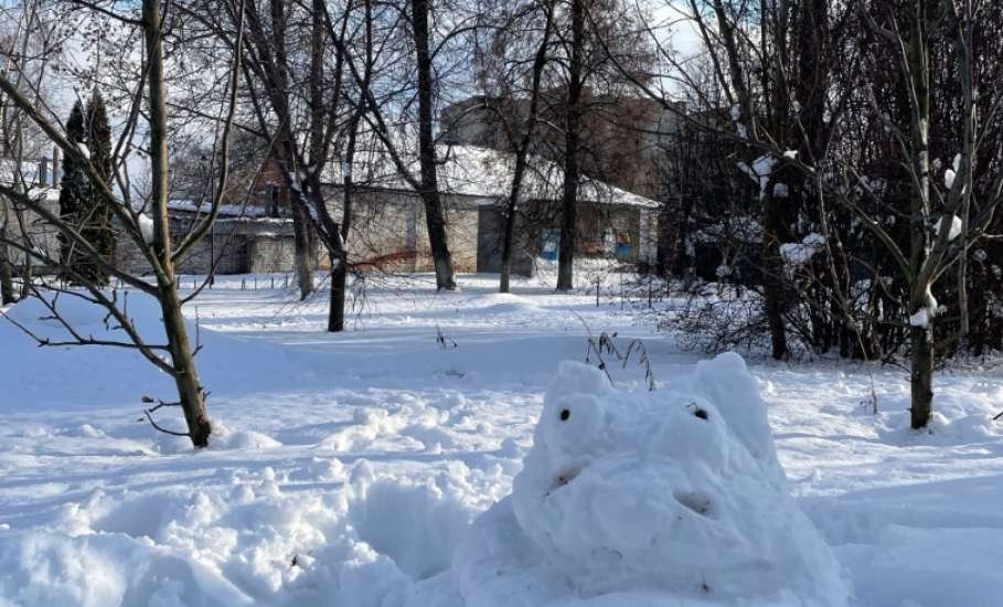 Зима 2026 вдохновляет на творчество!