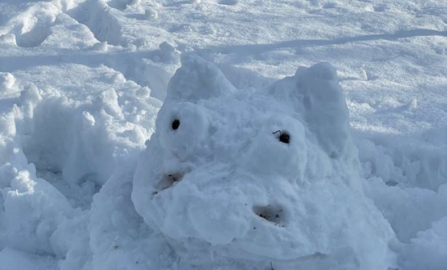 Зима 2026 вдохновляет на творчество!