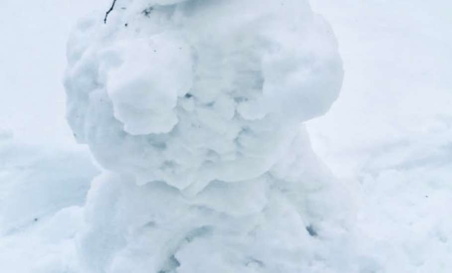 Зима 2026 вдохновляет на творчество!