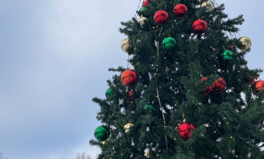 В Городском парке прошла детская игровая программа "Карусель новогодних подарков"