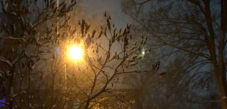 Специалисты АСС выполнили работы по временной герметизации повреждённых от БПЛА остеклений в Ельце