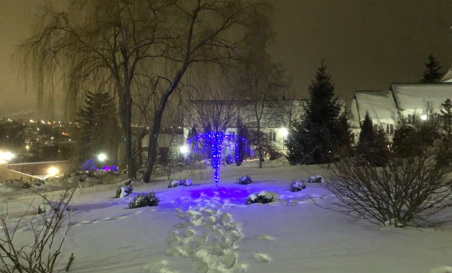 Рождество Христово в Знаменском женском монастыре. С праздником!